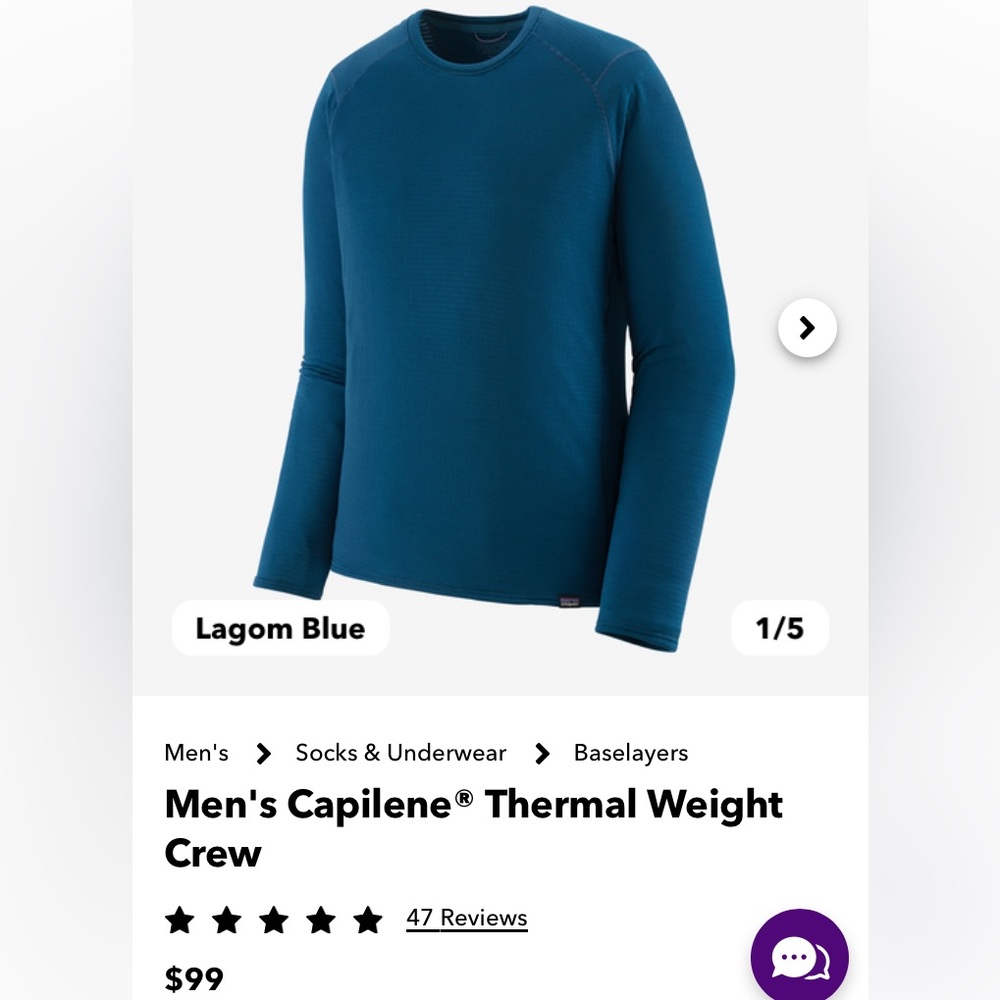 Patagonia Men's Capilene® Thermal Weight Crew -Lagom blue